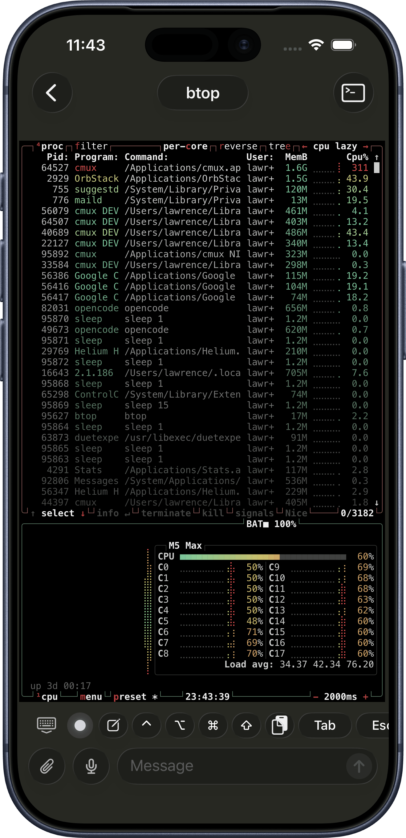 btop running in a cmux terminal on iPhone