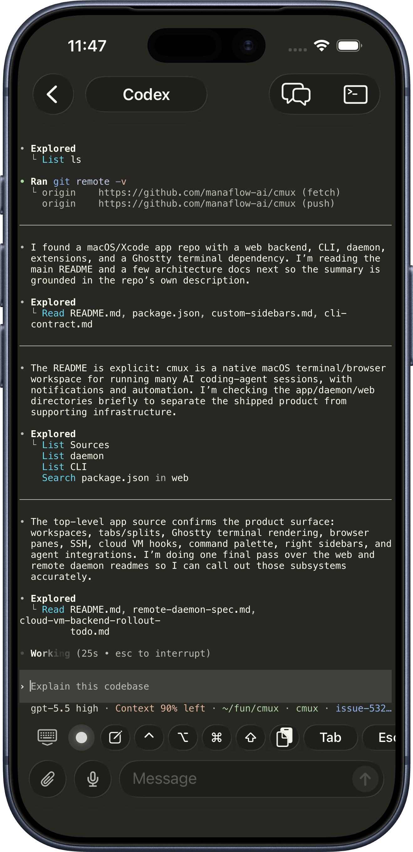Codex running in a cmux terminal on iPhone