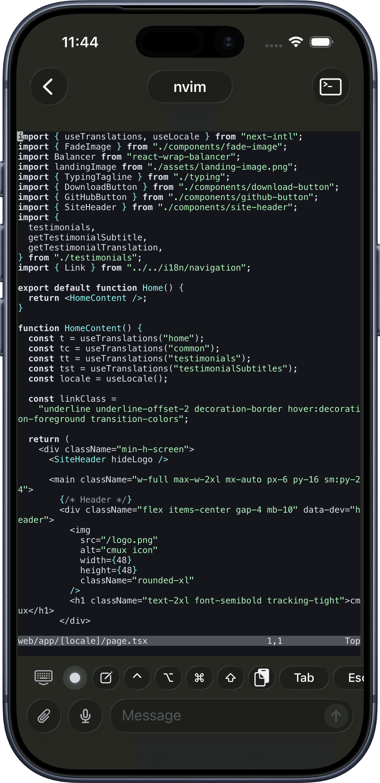 Neovim running in a cmux terminal on iPhone