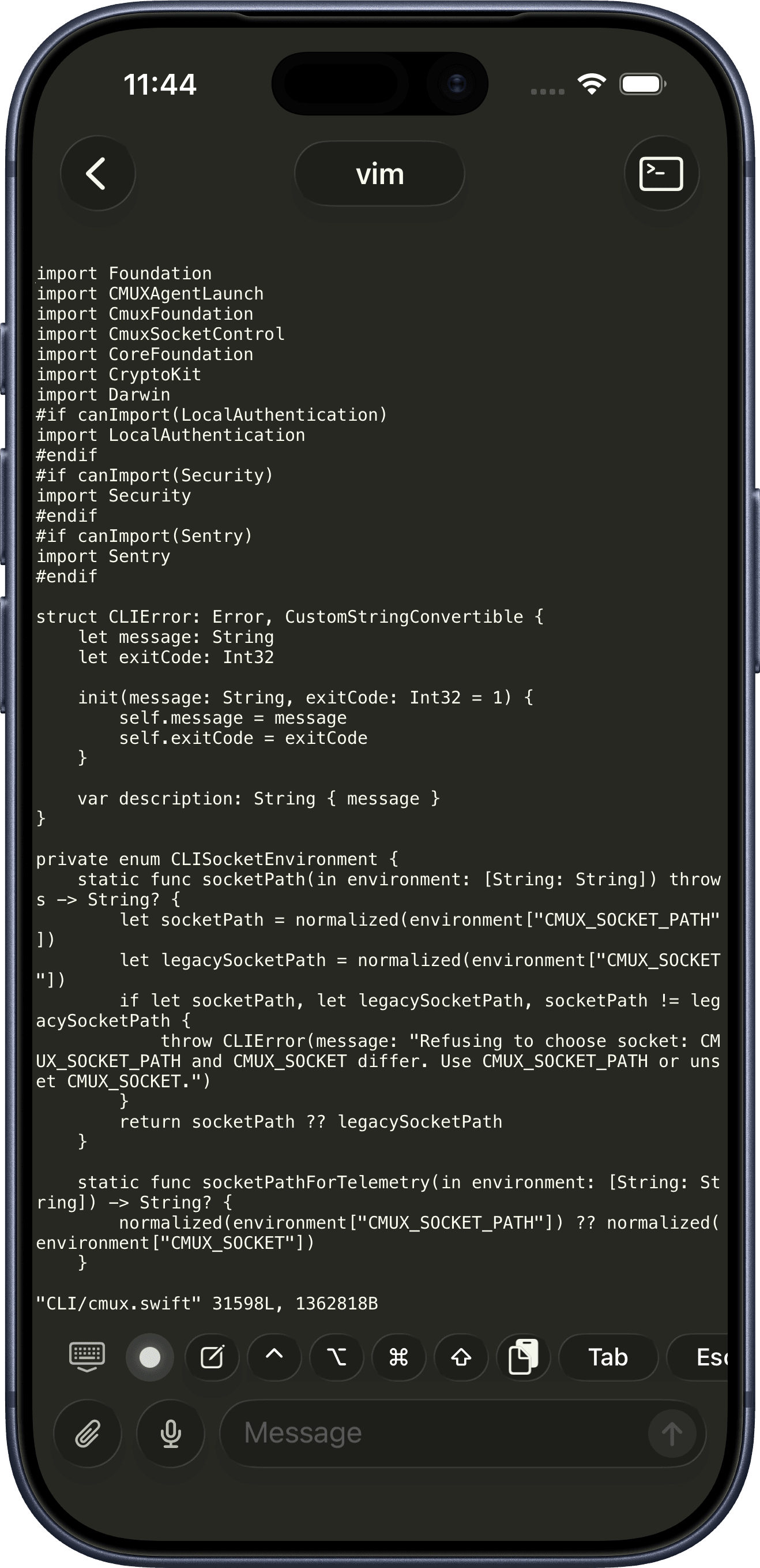 Vim running in a cmux terminal on iPhone